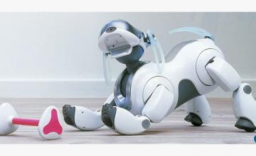 This new robot dog will help you around the house