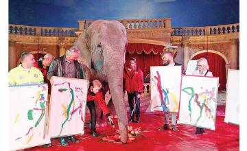 Paintings by Indian elephant auctioned in Hungary