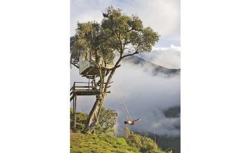 The swing that will take your breath away!