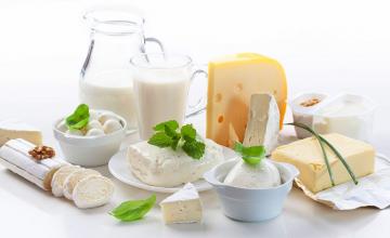 The Milky, Cheesy Truth about Dairy Products