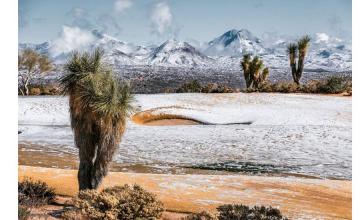 21 Pictures Of An Arizona Desert Snowstorm As A Winter Wonderland