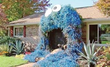 Pennsylvania woman's giant Cookie Monster front door display for trick-or-treaters goes viral