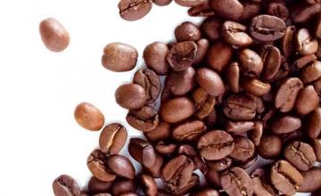 GET TO KNOW COFFEE, MORE!