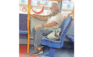 Man uses live snake as mask on bus: ‘No one batted an eyelid’
