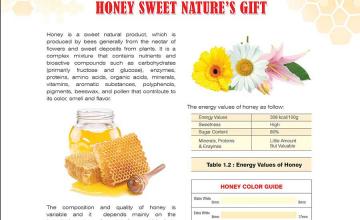 Honey: Sweet Nature's Gift
