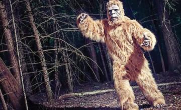 Pair of Bigfoot creatures spotted by hunters who were paralysed with fear