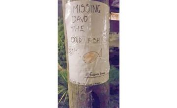 FINDING DAVO
