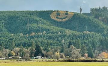 Massive smiley face of trees appears in Oregon every fall – Here's how it got there