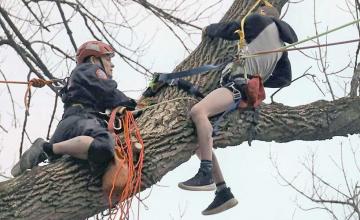 Teen tries to rescue cat in tree but gets stuck, prompting rescue