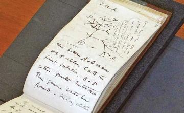 'Stolen' Charles Darwin notebooks 'worth millions' returned to library with mysterious note 20 years later