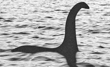 Existence of a Loch Ness Monster 'plausible' after plesiosaur fossils identified in the Sahara Desert