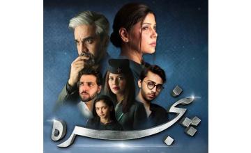  Hadiqa Kiani and Omair Rana’s upcoming drama Pinjra is a tribute to the late Asma Nabeel