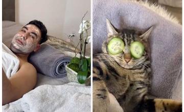 Viral video shows cat enjoying a 'spaw' day, Internet is jealous