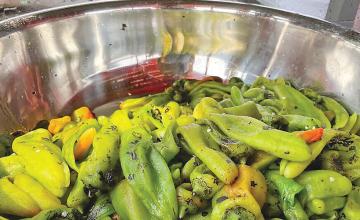 New Mexico Considers Roasted Chile as Official State Aroma