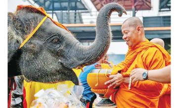 ELEPHANTS HONOURED IN THAILAND AS PART OF NATION'S HERITAGE