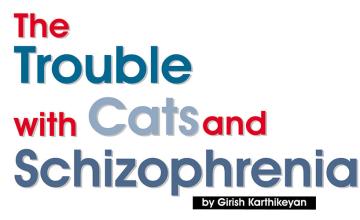 The Trouble with Cats and Schizophrenia