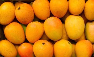 IN INDIA TRADERS OFFERS MANGOES ON EMI