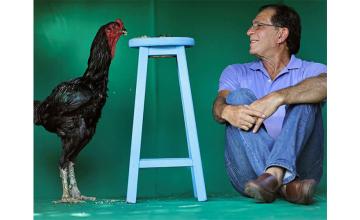 BRAZILIAN FARMER'S GIANT ROOSTER HOBBY HATCHES INTO PROFITABLE BUSINESS
