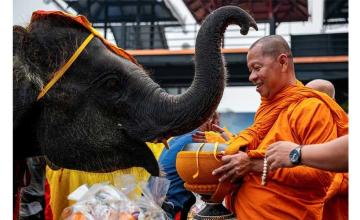 ELEPHANTS HONOURED IN THAILAND AS PART OF NATION'S HERITAGE
