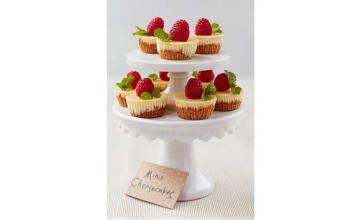 Mix and Match Mini Cheesecakes