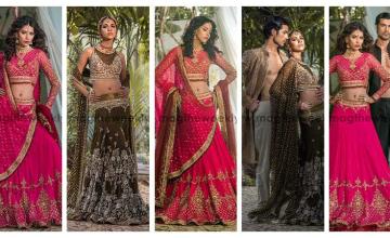 Timeless Designs, Modern Appeal