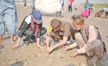 PLANTING HOPE KARACHI YOUTH STRENGTHEN COASTAL DEFENCES WITH MANGROVE FORESTS