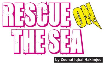 Rescue On The Sea