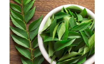 5 GREEN FOODS THAT  BURN FAT IN SPEED