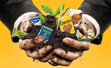 Environmental reforms and health