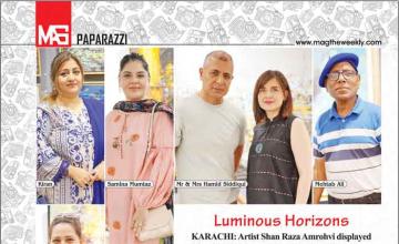 Luminous Horizons 