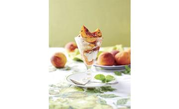 Peach Melba Glory